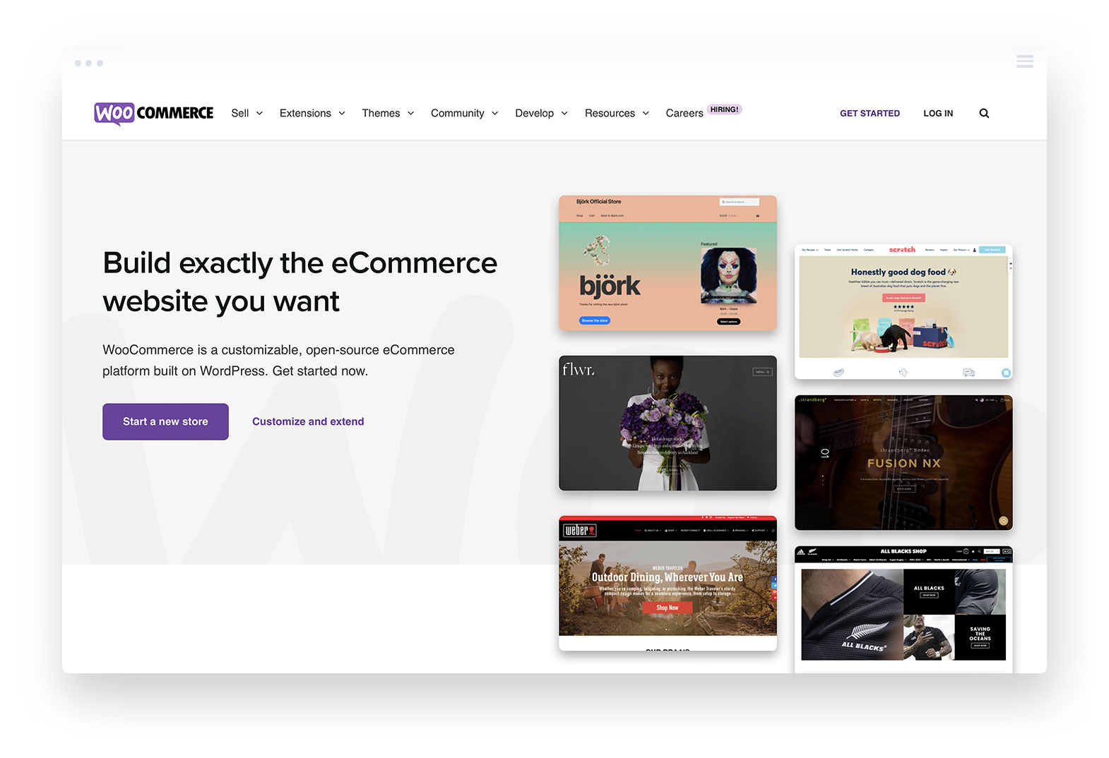 WooCommerce Pros and Cons, A Picture of a WooCommerce Store