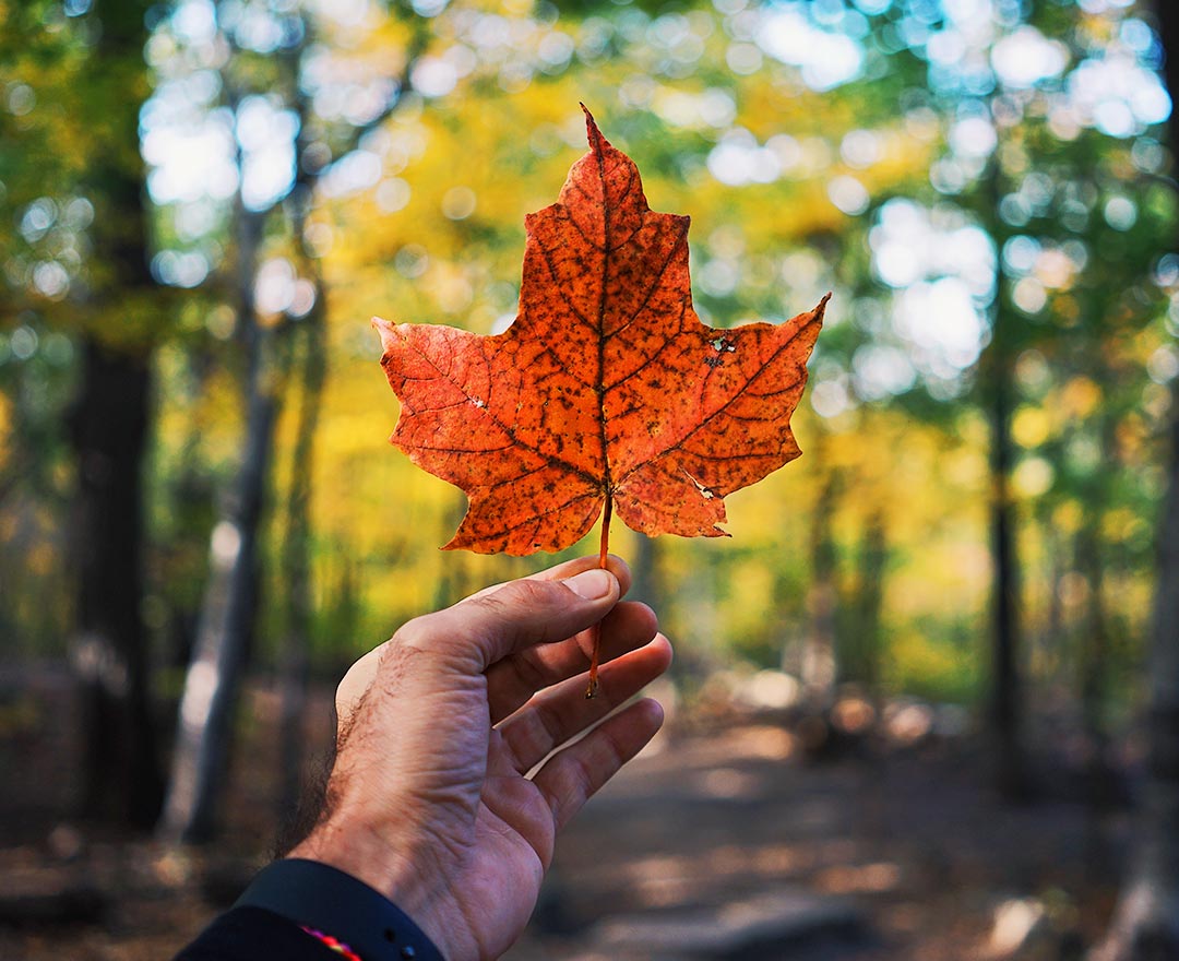  Design Canada Parachute Design Group Inc.