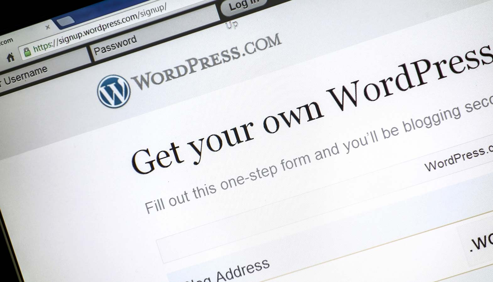 The WordPress.com Plan