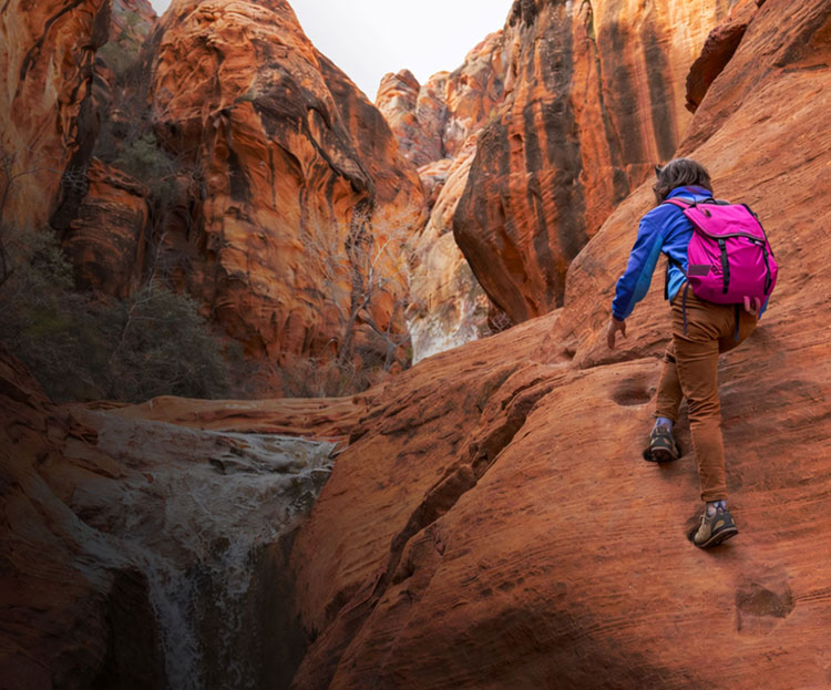 Custom WordPress website design for industry defining CX Agency, Bond Brand Loyalty