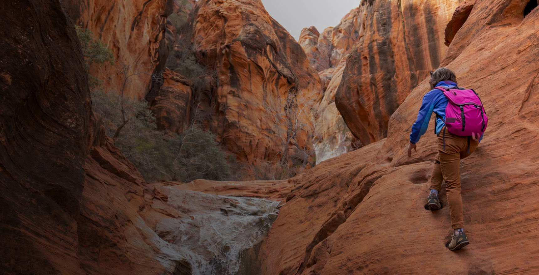 Custom WordPress website design for industry defining CX Agency, Bond Brand Loyalty