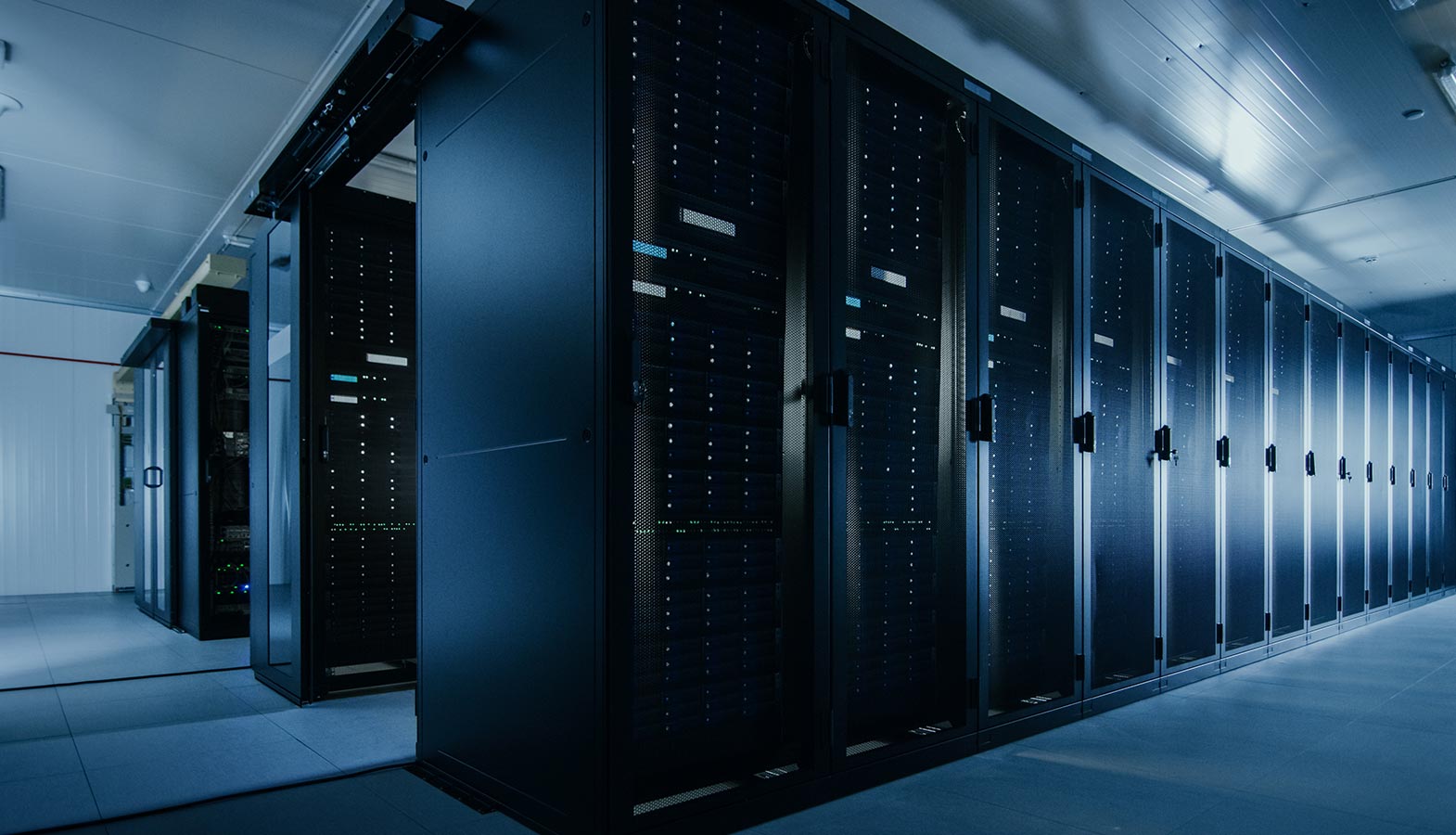 The image depicts a modern data center filled with rows of high-performance servers illuminated by blue LED lighting, showcasing an environment optimized for secure hosting solutions and managed WordPress hosting. This facility is designed to support multiple client sites with enterprise-grade security and robust performance.