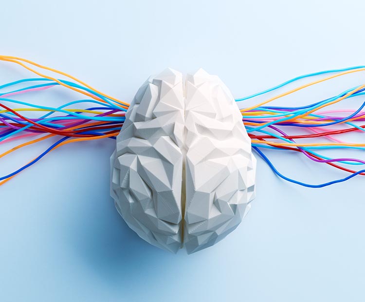 Generative Engine Optimization