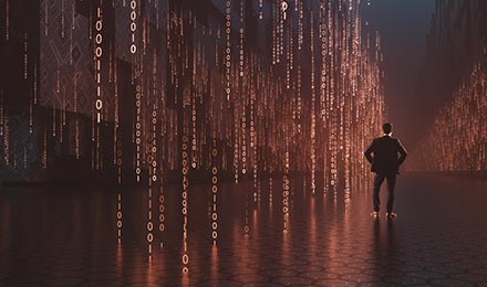 WordPress Page Builders vs. Advanced Custom Fields (ACF)